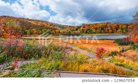 八幡平大沼（秋季） 129607054