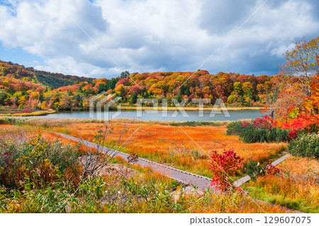 Hachimantai Onuma (Autumn) Hachimantai Onuma (Autumn) 129607075