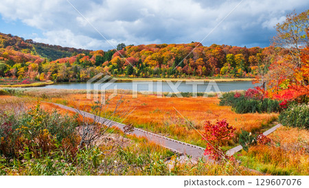 八幡平大沼(秋季) 八幡平大沼(秋季) 129607076