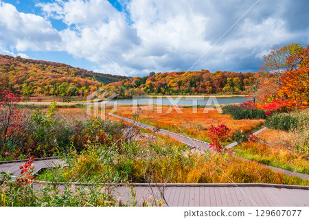 八幡平大沼（秋季） 129607077