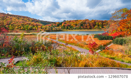 八幡平大沼（秋季） 129607078