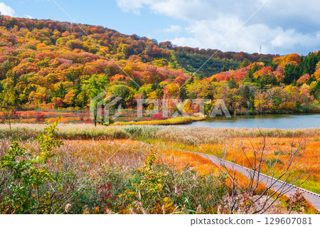 Hachimantai Onuma (Autumn) 129607081
