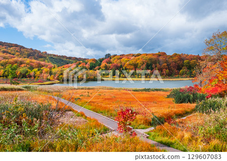 Hachimantai Onuma (Autumn) 129607083