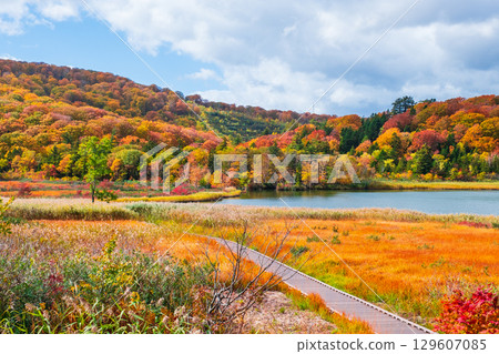 八幡平大沼（秋季） 129607085