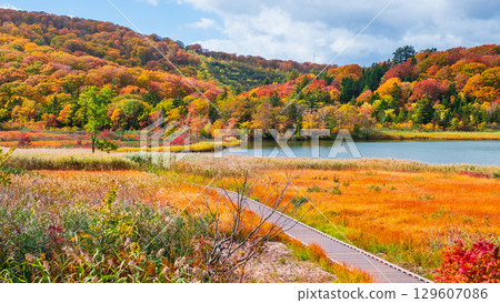 八幡平大沼（秋季） 129607086