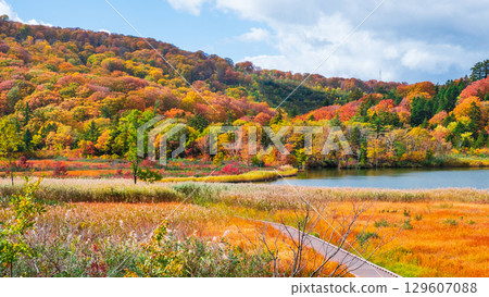 八幡平大沼（秋季） 129607088