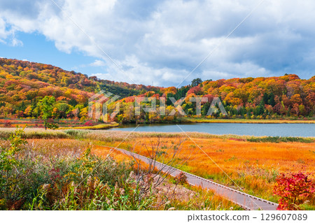 八幡平大沼（秋季） 129607089