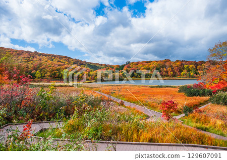 八幡平大沼（秋季） 129607091