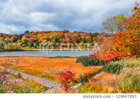 Hachimantai Onuma (Autumn) Hachimantai Onuma (Autumn) 129607093