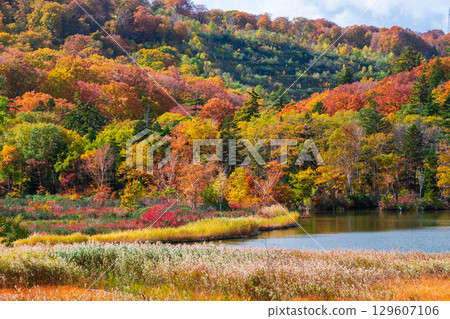 Hachimantai Onuma (Autumn) Hachimantai Onuma (Autumn) 129607106