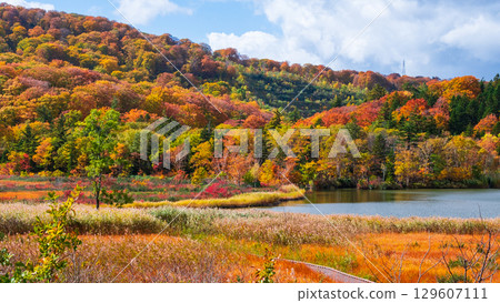 Hachimantai Onuma (Autumn) 129607111