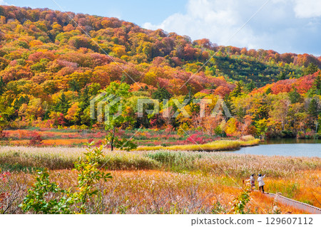 Hachimantai Onuma (Autumn) 129607112