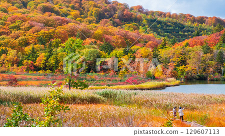 八幡平大沼（秋季） 129607113