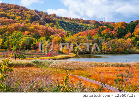 Hachimantai Onuma (Autumn) 129607122