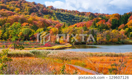 Hachimantai Onuma (Autumn) Hachimantai Onuma (Autumn) 129607126
