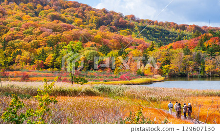 Hachimantai Onuma (Autumn) 129607130