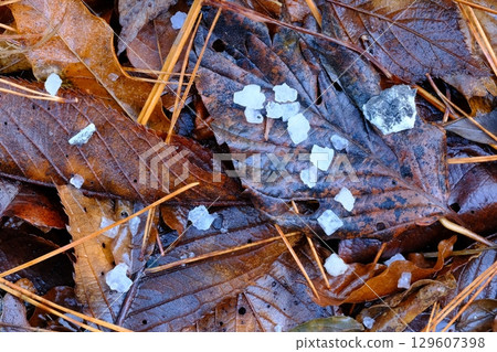 Hailstones on fallen leaves 129607398