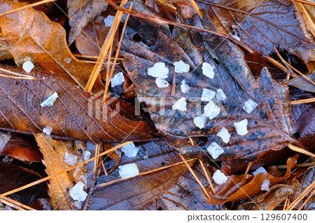 Hailstones on fallen leaves Hailstones on fallen leaves 129607400
