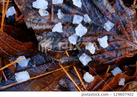Hailstones on fallen leaves 129607402