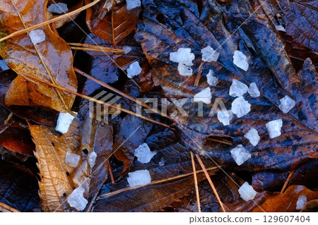 Hailstones on fallen leaves 129607404