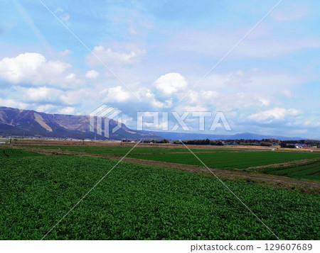 Nature in Aso City, Kumamoto Prefecture 129607689