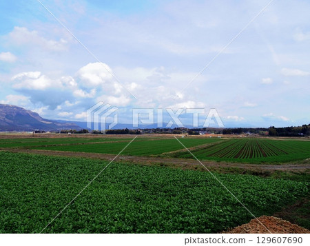 Nature in Aso City, Kumamoto Prefecture 129607690