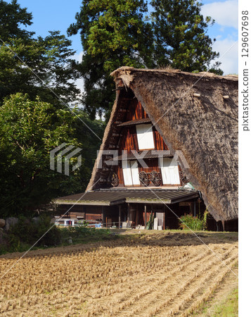 Rice paddies and architecture Rice paddies and architecture 129607698