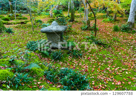 Gio-ji Temple surrounded by autumn leaves Gio-ji Temple surrounded by autumn leaves 129607788