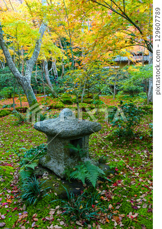 被秋葉包圍的祗寺 129607789