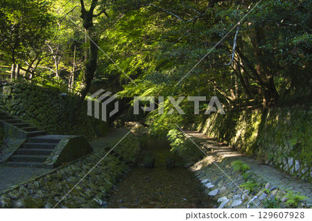 Gyoran Park River 129607928