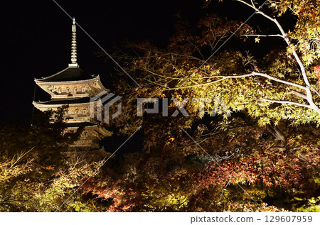 The lighted-up temple Toji The lighted-up temple Toji 129607959