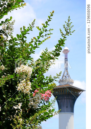 Crape myrtle flowers and the Tower of Life 129608096
