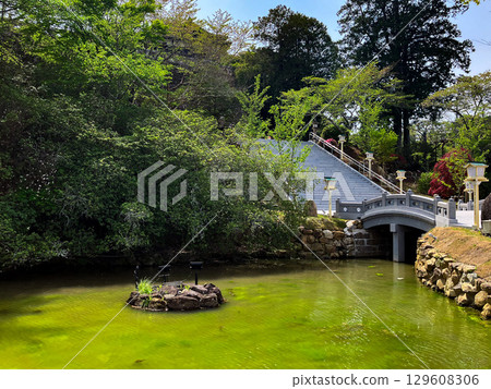 武雄神社 129608306