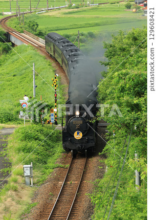 SL 山口 D51 1833 SL 山口 D51 1833 129608421