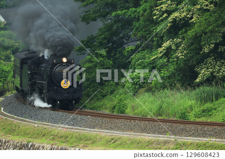 SL 山口 D51 2270- SL 山口 D51 2270- 129608423