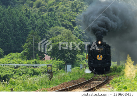 SL Yamaguchi D51 2620 SL Yamaguchi D51 2620 129608433