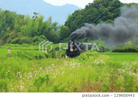 SL Yamaguchi D51 9544 129608443