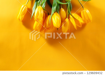 Fresh Bouquet of Yellow Tulips on Vibrant Yellow Background with Copy Space 129609432