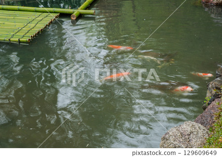 京都府八幡市松花堂公園雨天照片 129609649