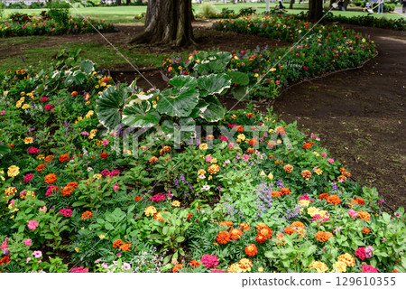 A walking path with flowers 129610355