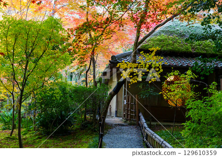 被秋葉包圍的祗寺 129610359