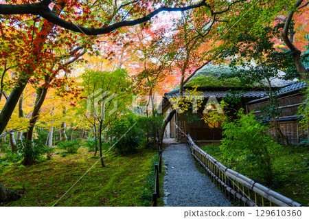 Gio-ji Temple surrounded by autumn leaves 129610360