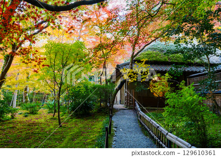 Gio-ji Temple surrounded by autumn leaves 129610361