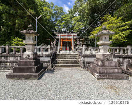 盛夏的稻荷神社被新綠色的樹木環繞 129610376
