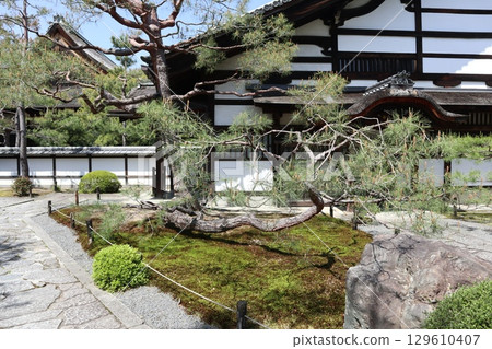 京都歷史悠久的南禪寺的初夏風景 129610407