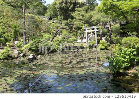 京都歷史悠久的南禪寺的初夏風景 129610419