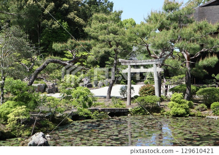 京都歷史悠久的南禪寺的初夏風景 129610421