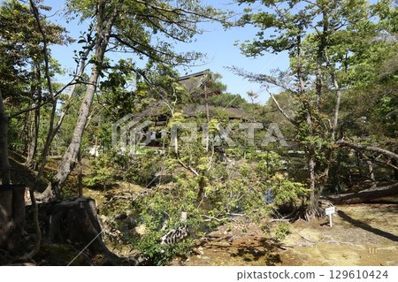 Early summer scenery at the historic Nanzenji Temple in Kyoto Early summer scenery at the historic Nanzenji Temple in Kyoto 129610424
