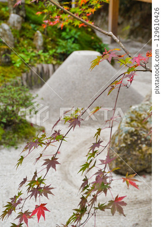 Ohara Hosen-in Temple: Treasure Garden and Beautiful Autumn Leaves (Sakyo Ward, Kyoto City, Kyoto Prefecture) 129610426