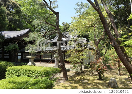 Early summer scenery at the historic Nanzenji Temple in Kyoto 129610431